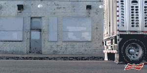 Lost-Dog-Teaser-Lost-Dog